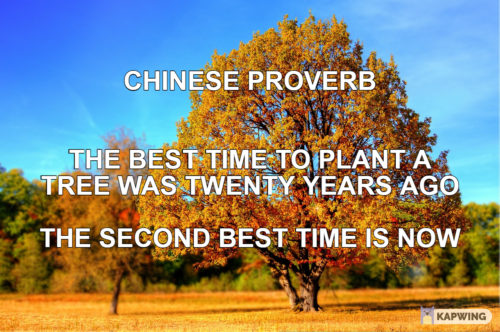 Chinese proverb